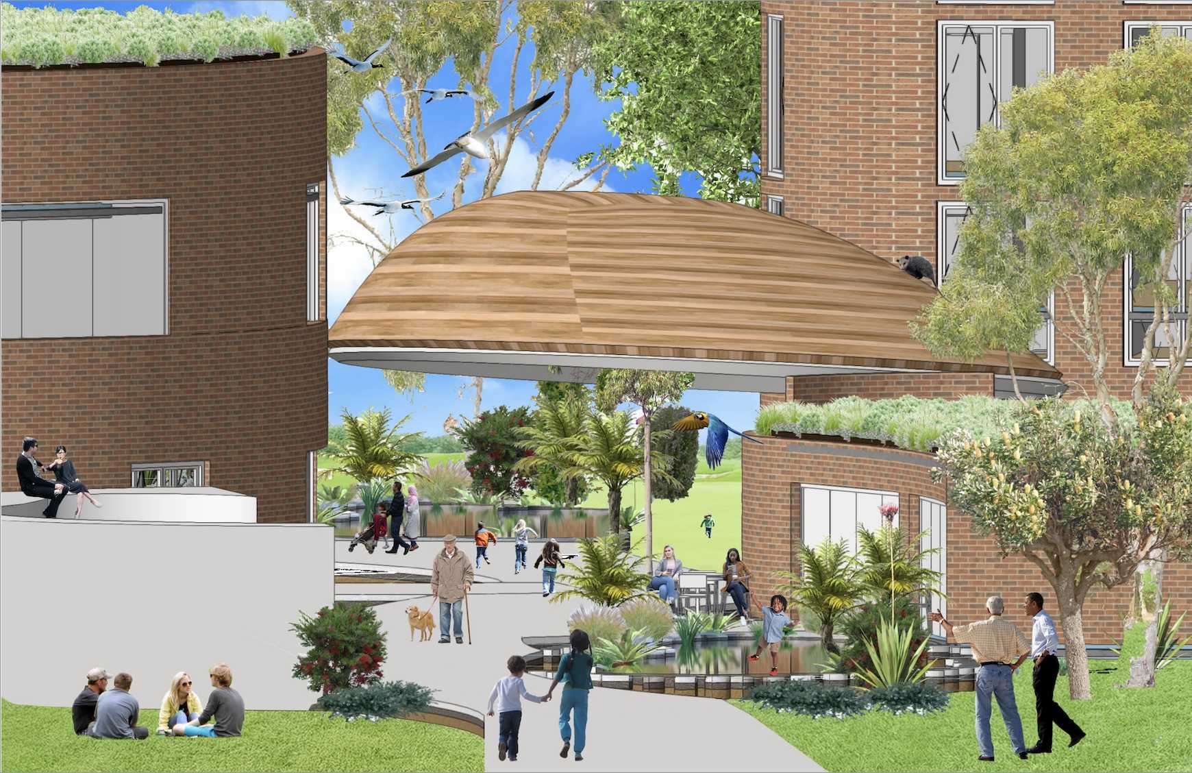 This perspective envisions a vibrant future for the Blacktown community, where people, non-human animals and nature are brought together in balanced harmony. 