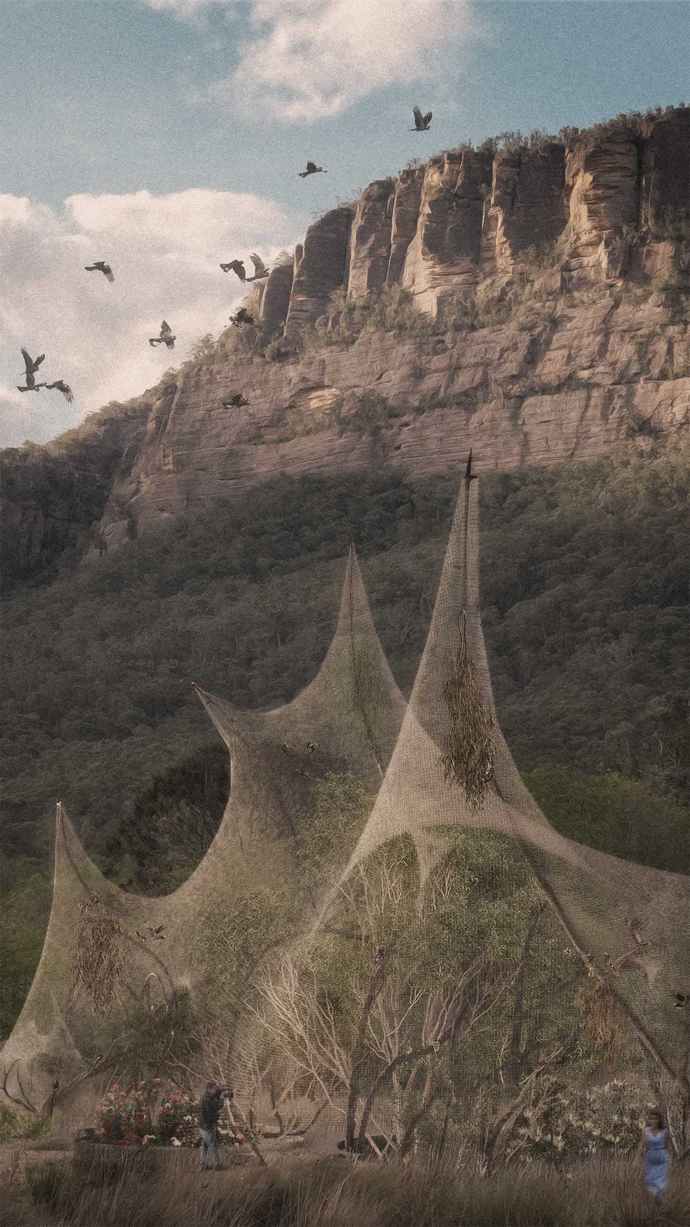 Amplifying the biophony - using sound to reincarnate the more-than-human spectres of Glen Davis. Rehabilitating the Regent Honeyeater population and reintroducing their forgotten song back to the species.