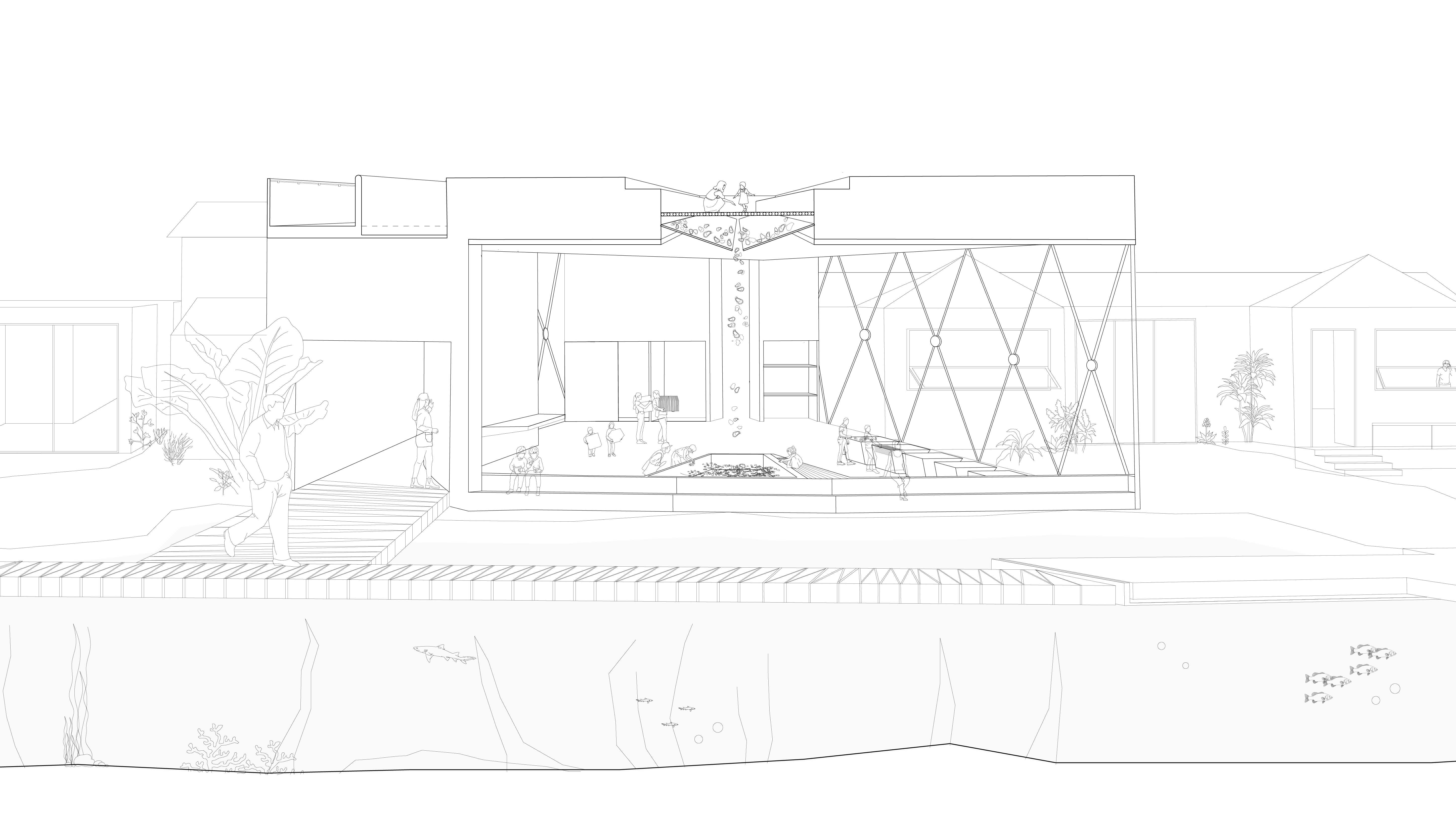 A drain opens monthly in a dramatic gesture, releasing the shells below. The shells are intentionally broken in this process, maximising their surface area for when the baskets are submerged.
