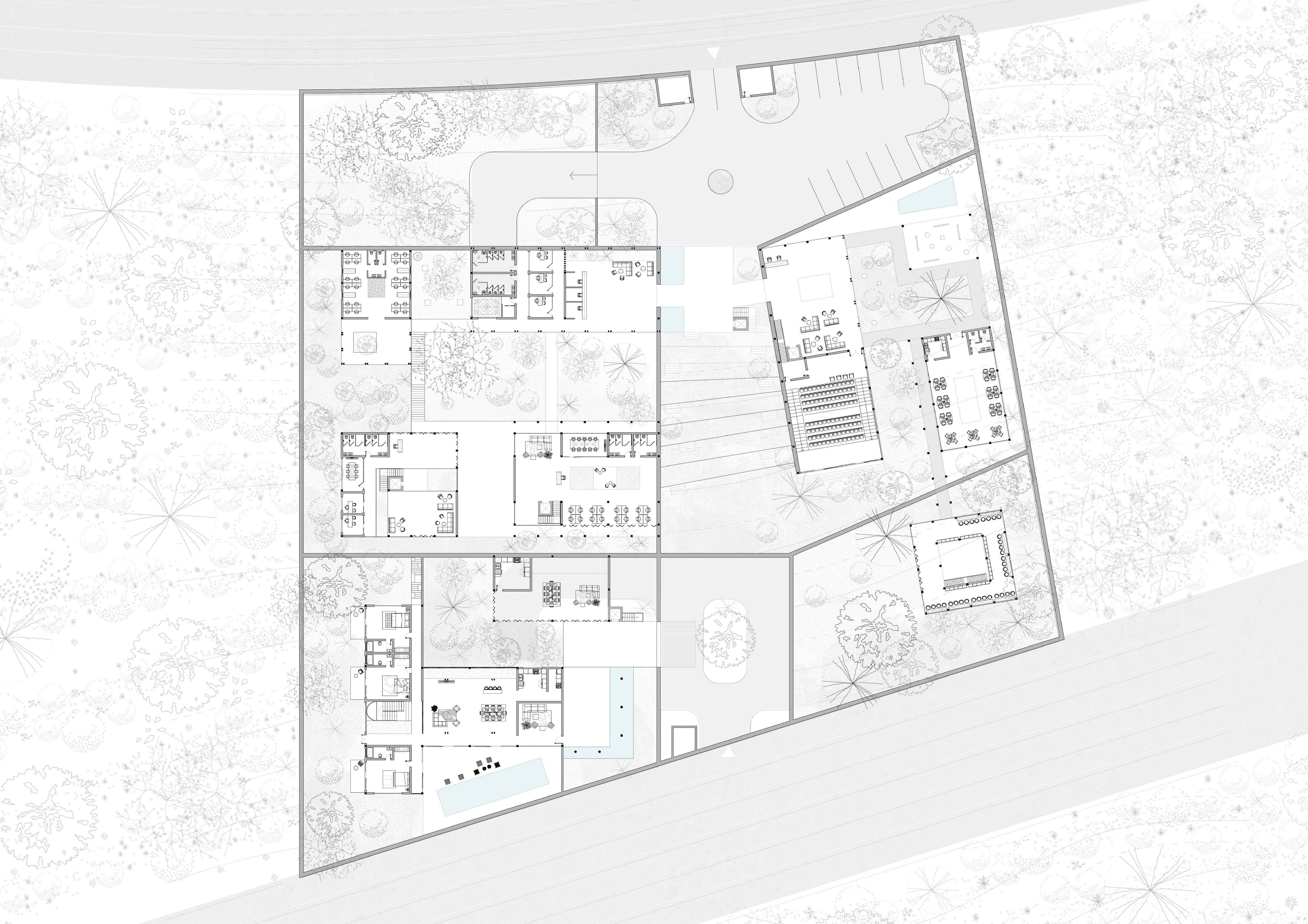 In the plan, a series of distinct, interconnected buildings are arranged, each with unique characteristics. Courtyards and transitional spaces weave between them, fostering discovery and a seamless connection to nature