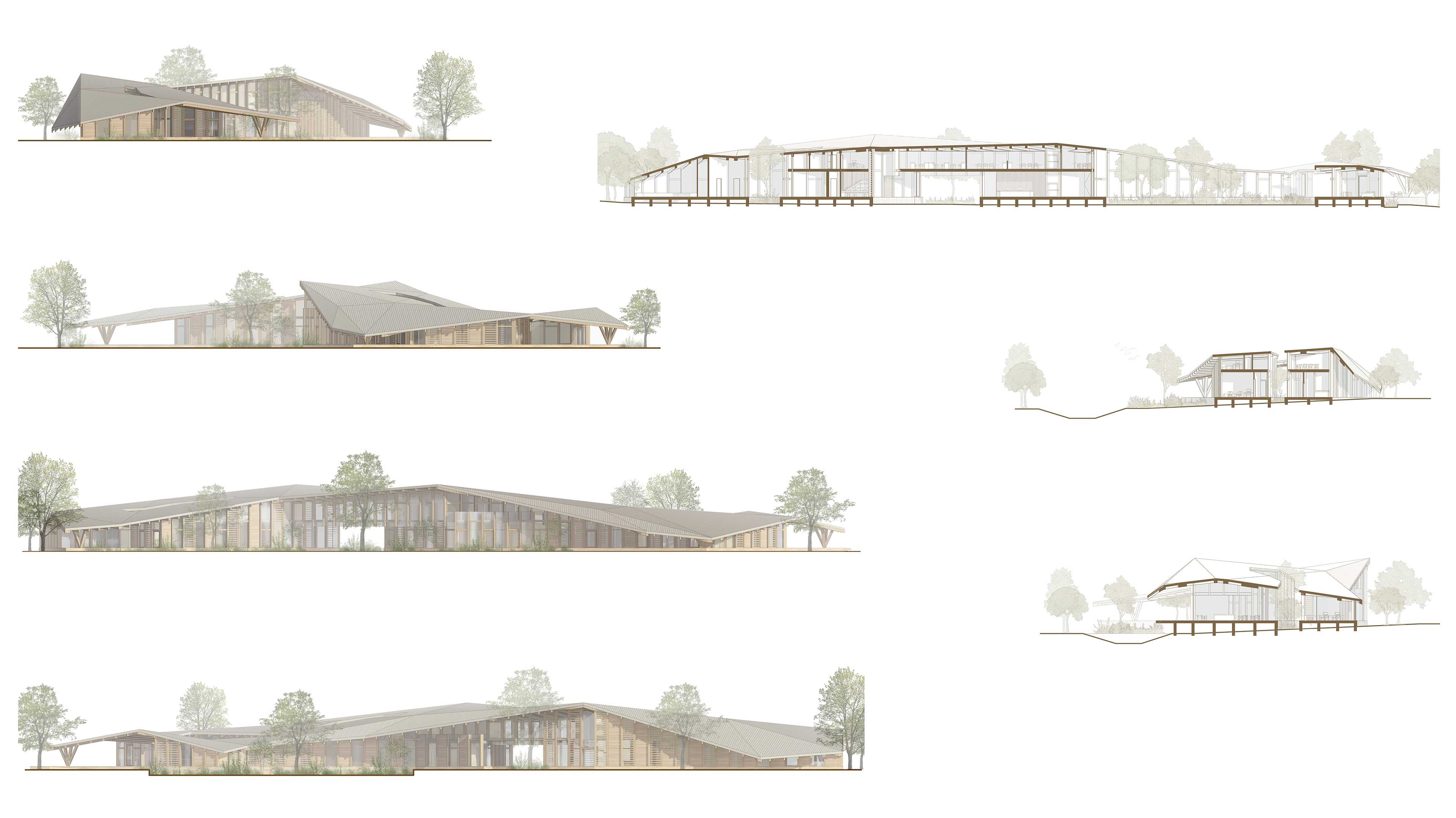 Elevations + Sections