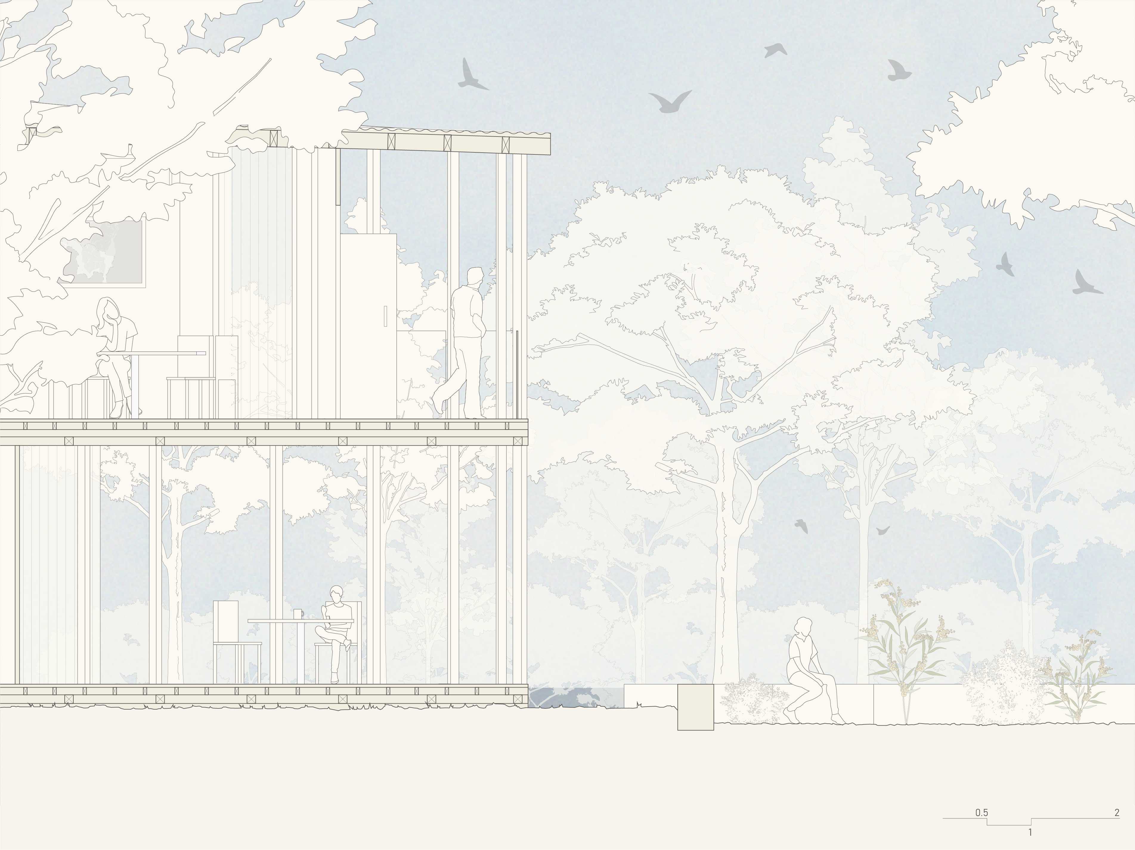 This sectional detail highlights users’ experience of the space and how they are immersed in the natural environment, whilst putting emphasis on the diaphanous quality of the pavilion buildings.