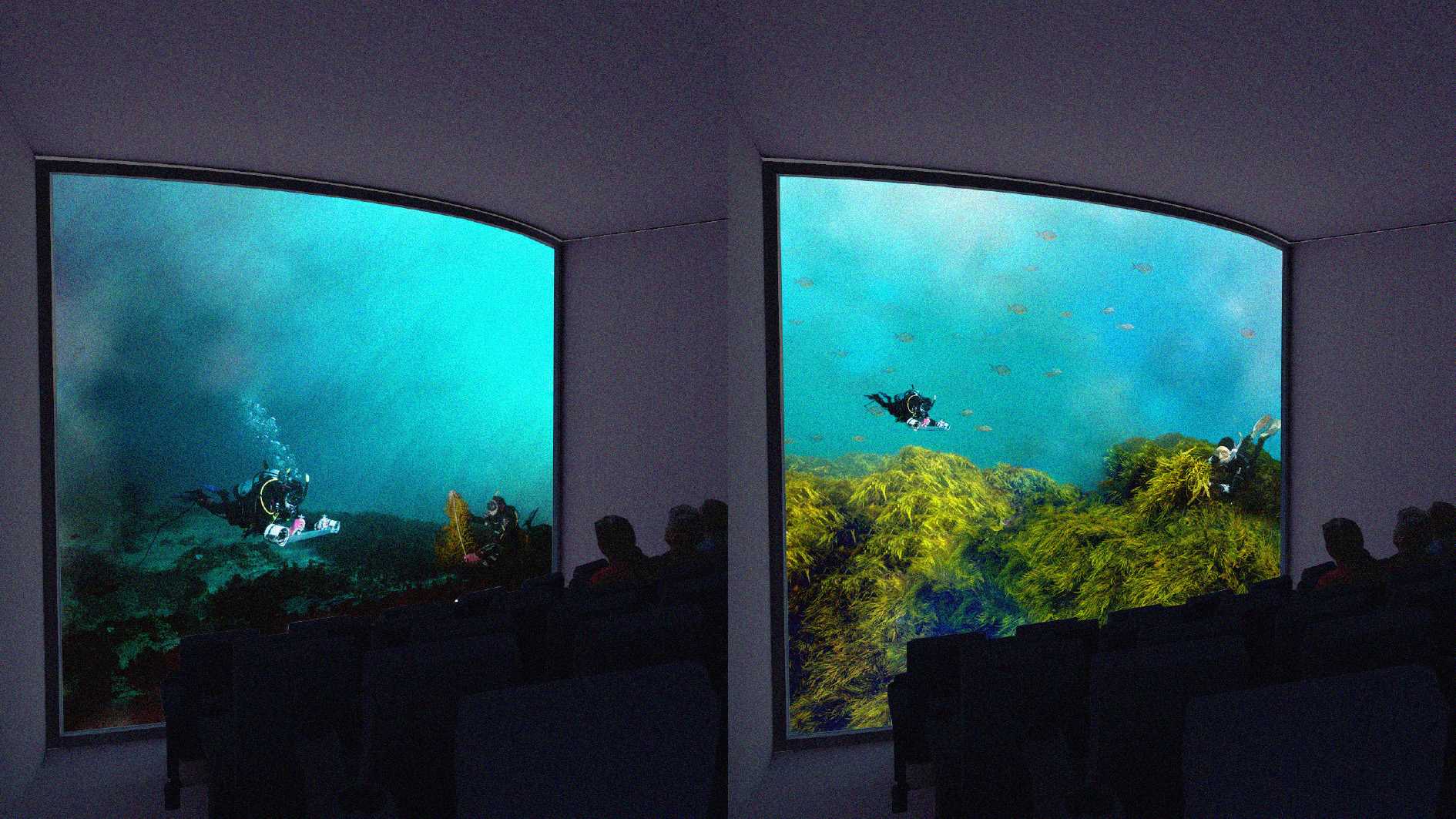 Crayweed Theatre, before and after of the rejuvenation of crayweed habitats after restoration performances